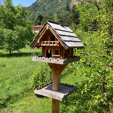 Apartment Steinwender *